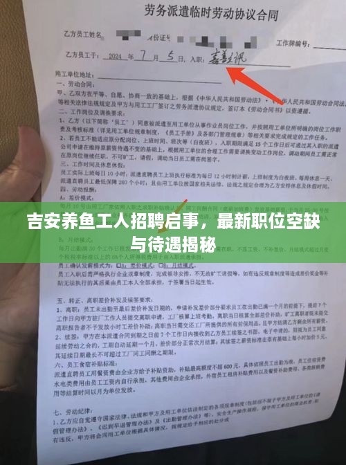 吉安养鱼工人招聘启事，最新职位空缺与待遇揭秘