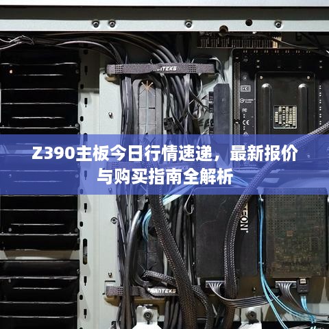 Z390主板今日行情速递，最新报价与购买指南全解析