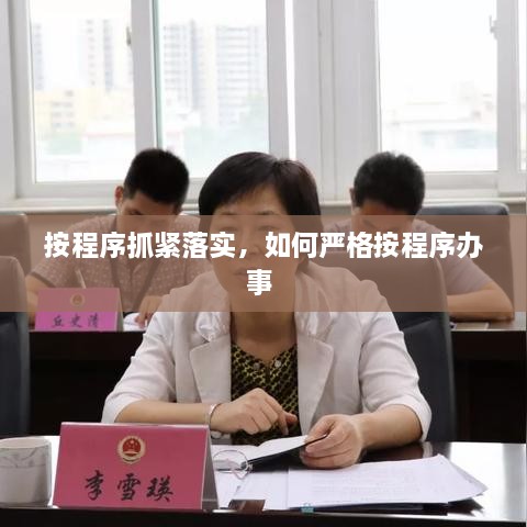 按程序抓紧落实，如何严格按程序办事 