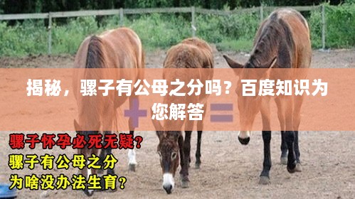 揭秘，骡子有公母之分吗？百度知识为您解答