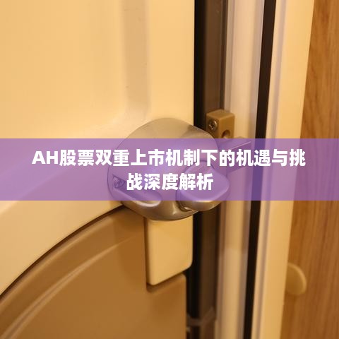 AH股票双重上市机制下的机遇与挑战深度解析