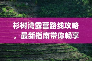 杉树湾露营路线攻略，最新指南带你畅享自然之旅！