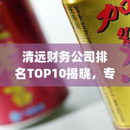 清远财务公司排名TOP10揭晓，专业服务力量展现实力