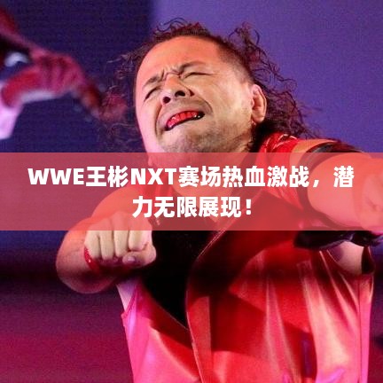 WWE王彬NXT赛场热血激战，潜力无限展现！