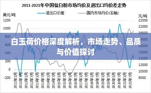 白玉荷价格深度解析，市场走势、品质与价值探讨