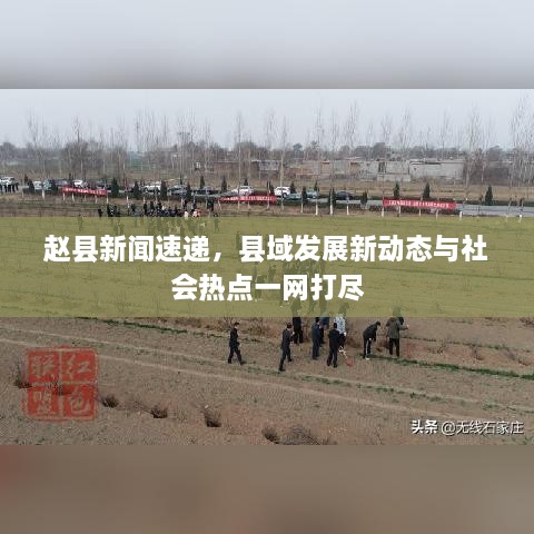 赵县新闻速递，县域发展新动态与社会热点一网打尽