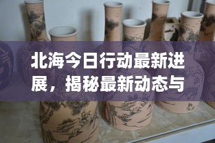 北海今日行动最新进展，揭秘最新动态与消息速递