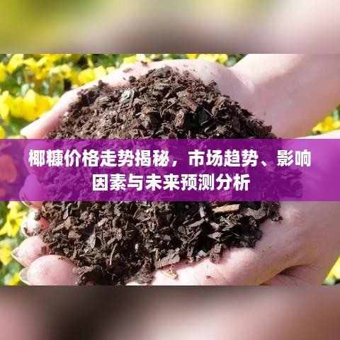 椰糠价格走势揭秘，市场趋势、影响因素与未来预测分析