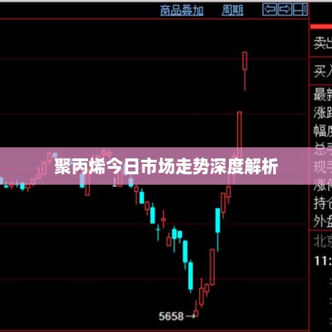 聚丙烯今日市场走势深度解析