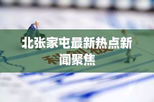 北张家屯最新热点新闻聚焦