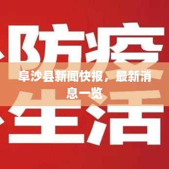 阜沙县新闻快报，最新消息一览