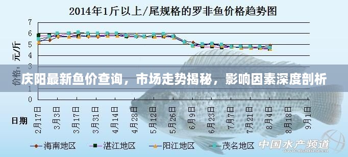 庆阳最新鱼价查询，市场走势揭秘，影响因素深度剖析