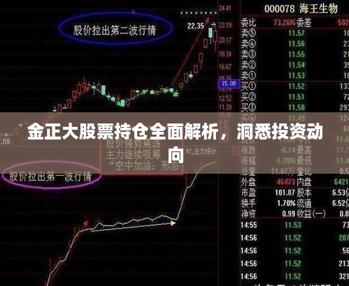 金正大股票持仓全面解析，洞悉投资动向