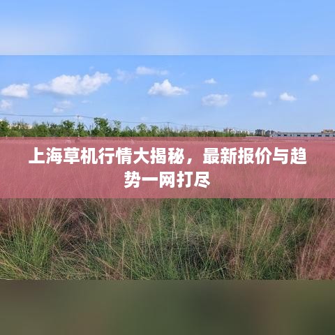 上海草机行情大揭秘，最新报价与趋势一网打尽