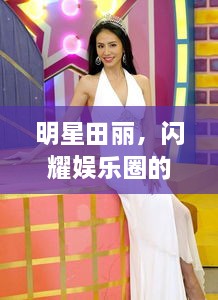 明星田丽，闪耀娱乐圈的光芒