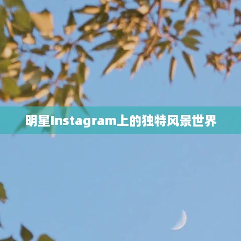 明星Instagram上的独特风景世界