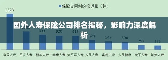 国外人寿保险公司排名揭秘，影响力深度解析