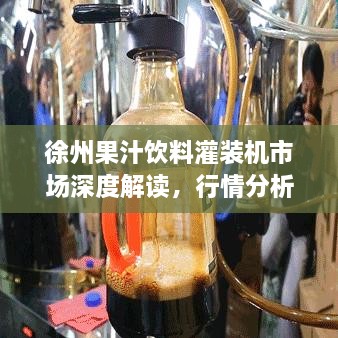 徐州果汁饮料灌装机市场深度解读，行情分析与趋势展望