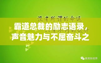 霸道总裁的励志语录，声音魅力与不屈奋斗之魂