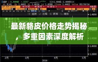 最新貉皮价格走势揭秘，多重因素深度解析