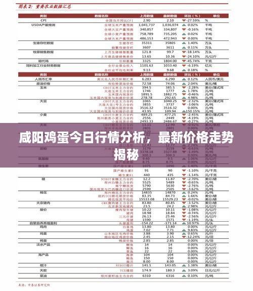 咸阳鸡蛋今日行情分析，最新价格走势揭秘