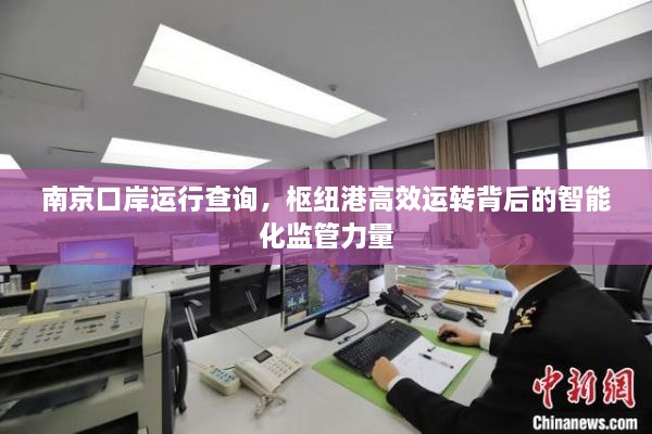 南京口岸运行查询，枢纽港高效运转背后的智能化监管力量