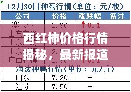 西红柿价格行情揭秘，最新报道带您了解11号价格走势