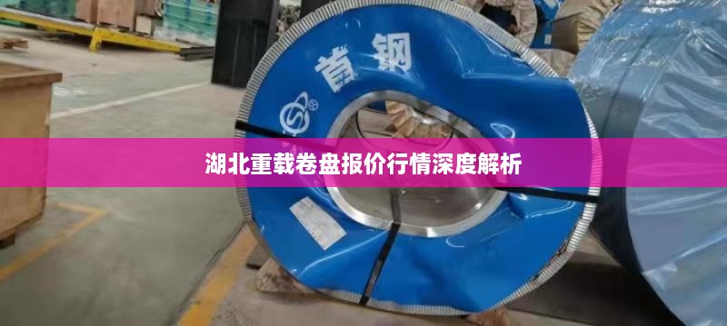 湖北重载卷盘报价行情深度解析