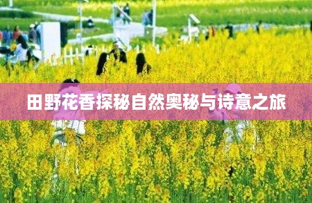 田野花香探秘自然奥秘与诗意之旅