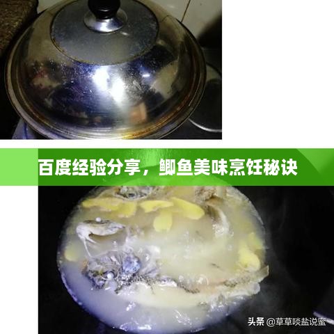 百度经验分享，鲫鱼美味烹饪秘诀