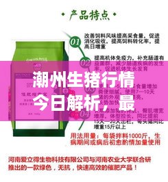 潮州生猪行情今日解析，最新动态，一览无遗