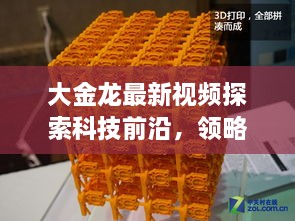 大金龙最新视频探索科技前沿，领略最新动态资讯汇总