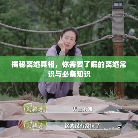 揭秘离婚真相，你需要了解的离婚常识与必备知识