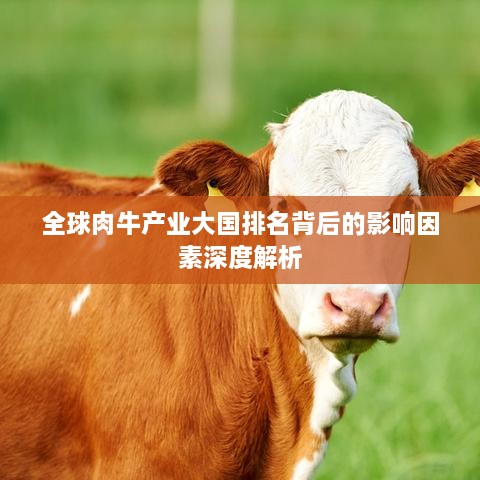 全球肉牛产业大国排名背后的影响因素深度解析