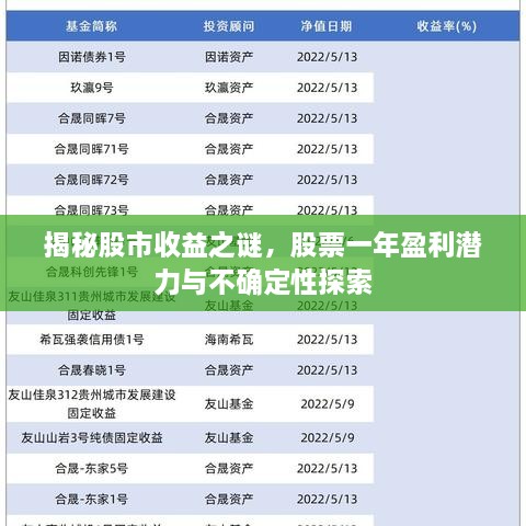 揭秘股市收益之谜，股票一年盈利潜力与不确定性探索