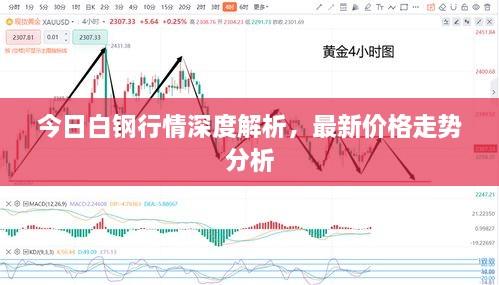 今日白钢行情深度解析，最新价格走势分析