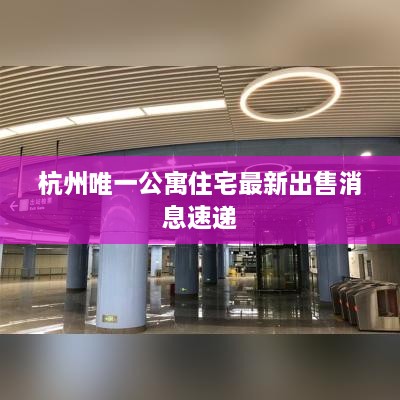 杭州唯一公寓住宅最新出售消息速递