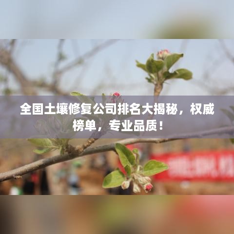 全国土壤修复公司排名大揭秘，权威榜单，专业品质！