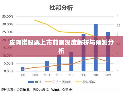 皮阿诺股票上市前景深度解析与预测分析