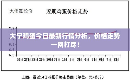 大宁鸡蛋今日最新行情分析，价格走势一网打尽！