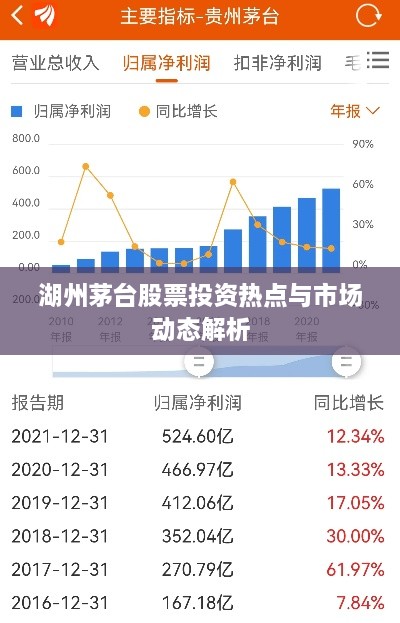 湖州茅台股票投资热点与市场动态解析