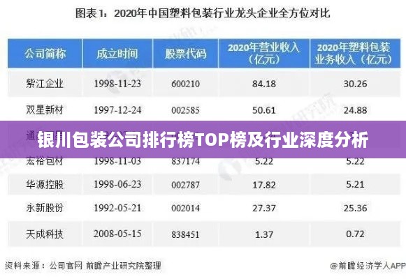 银川包装公司排行榜TOP榜及行业深度分析