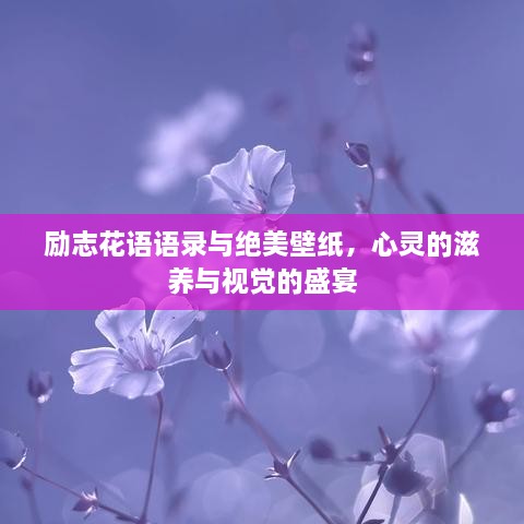 励志花语语录与绝美壁纸，心灵的滋养与视觉的盛宴