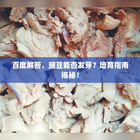 百度解答，豌豆能否发芽？培育指南揭秘！