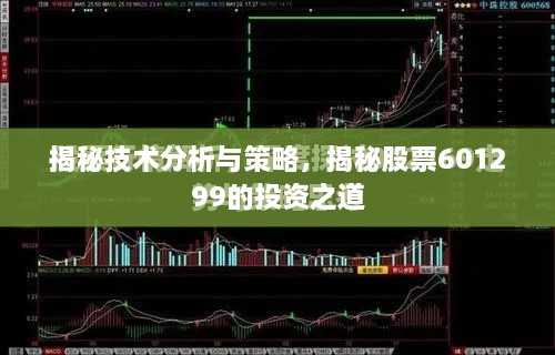 揭秘技术分析与策略，揭秘股票601299的投资之道