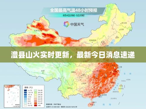 澧县山火实时更新，最新今日消息速递