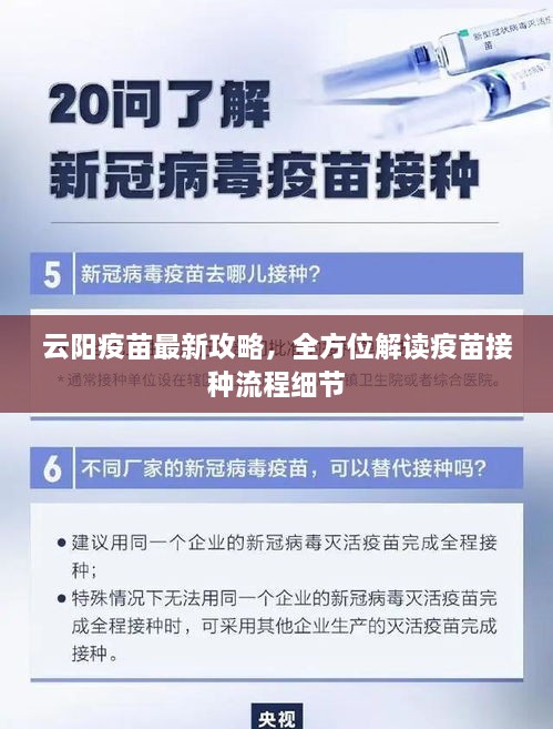 云阳疫苗最新攻略，全方位解读疫苗接种流程细节