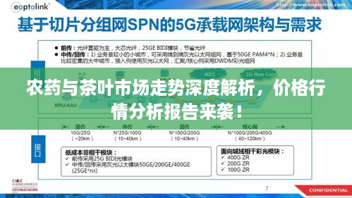 农药与茶叶市场走势深度解析，价格行情分析报告来袭！