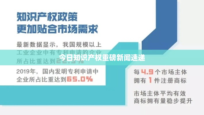 今日知识产权重磅新闻速递