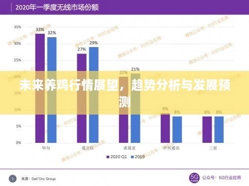 未来养鸡行情展望，趋势分析与发展预测